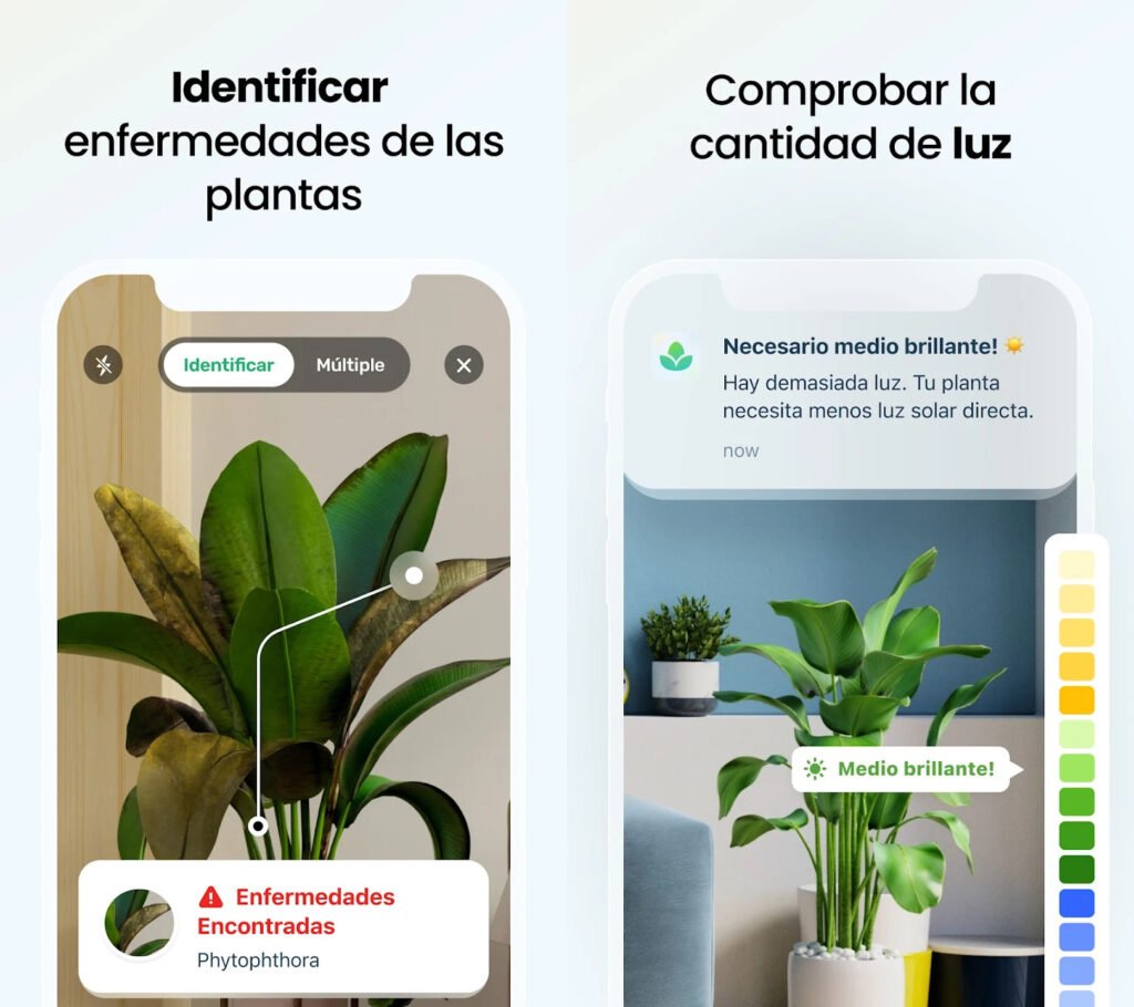 Captura de pantalla de Plant App