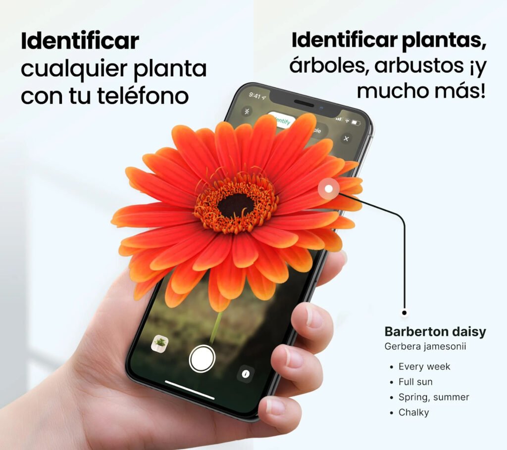 Identificación de plantas con Plant App