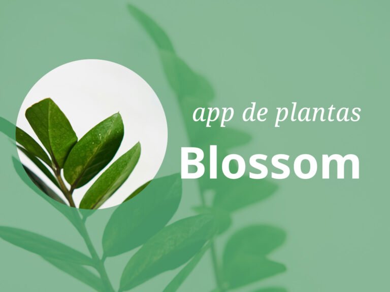 App Blossom, una muy completa aplicación de plantas