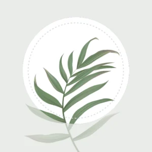 Icono de la app Blossom