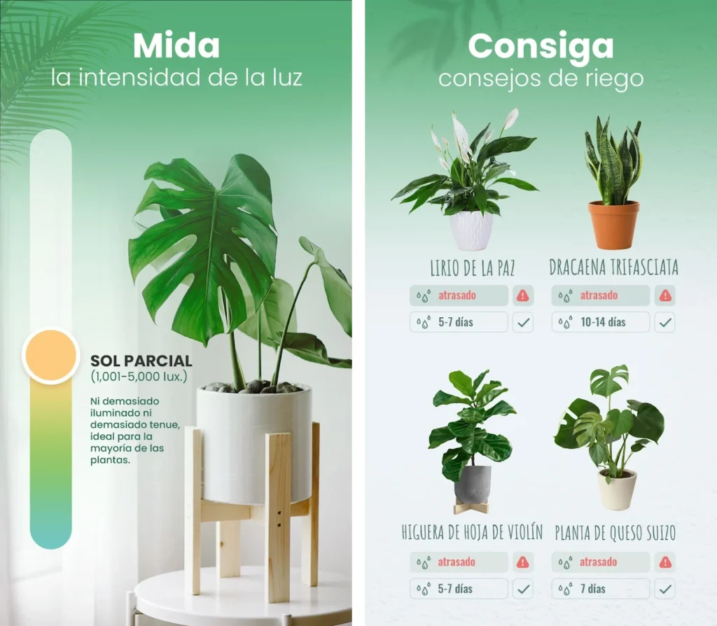 Medididor de luz y recordatorio de riego en app